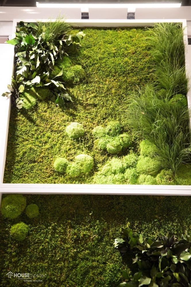 How These Stunning Indoor Wall Gardens Are Sustainable | House Tipster